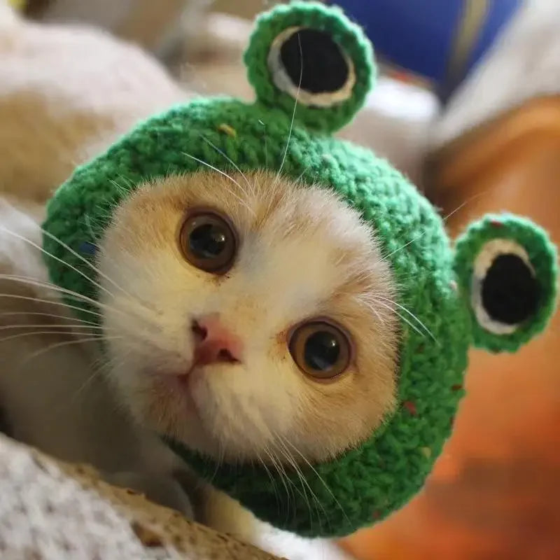 Gorro Gato Fiesta para Mascota