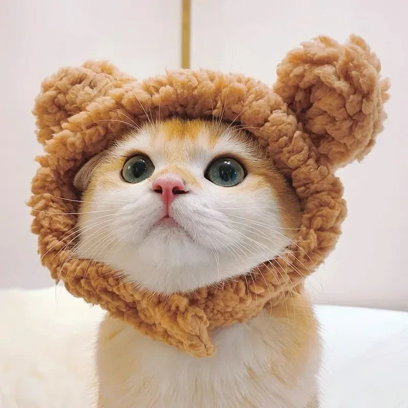 Gorro Oso Peludo para Mascota
