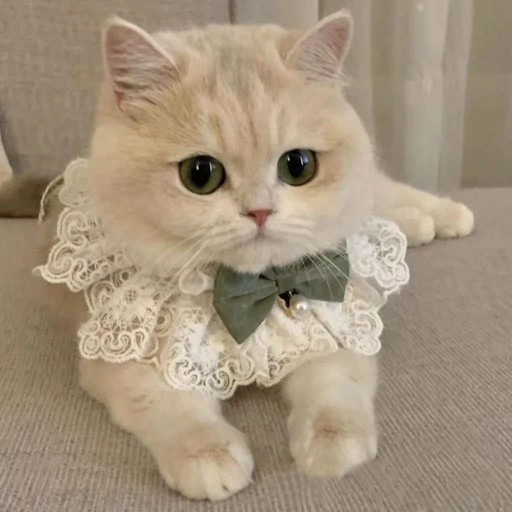 Collar de Perlas y Seda para Mascota