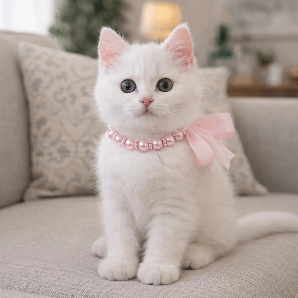 Collar de Perlas para Mascota