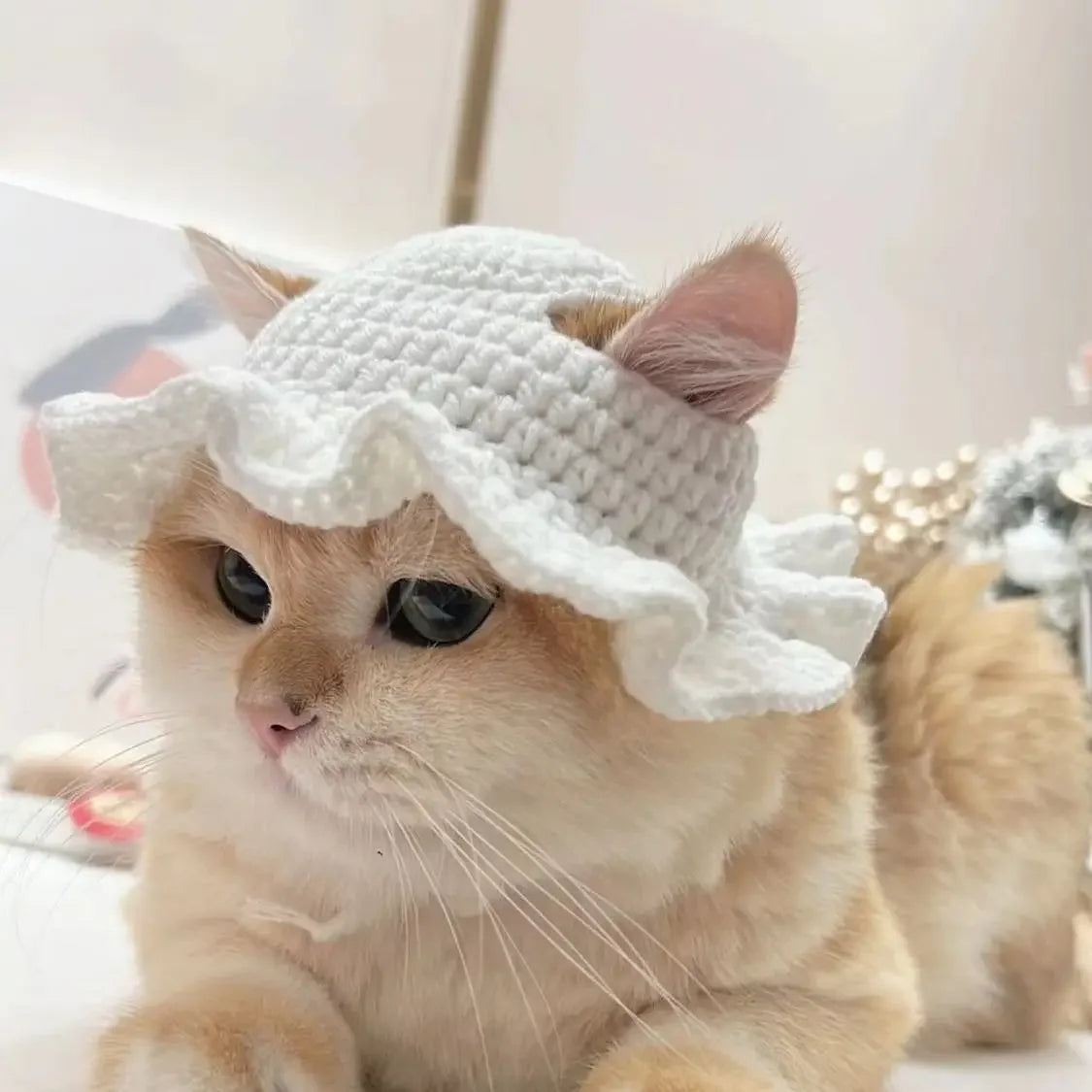 Gorro Gato Fiesta para Mascota