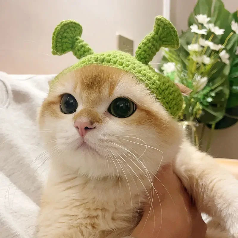 Gorro Gato Fiesta para Mascota