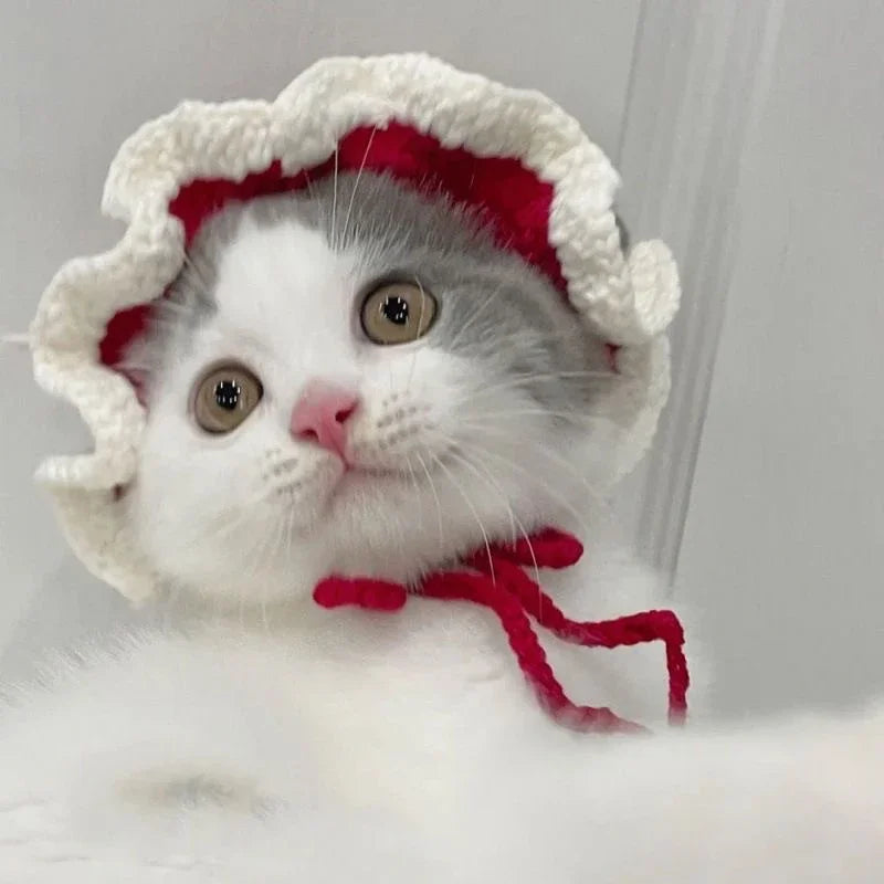 Gorro Gato Fiesta para Mascota