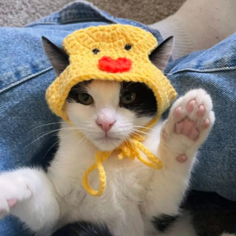 Gorro Tejido Patito para Mascota