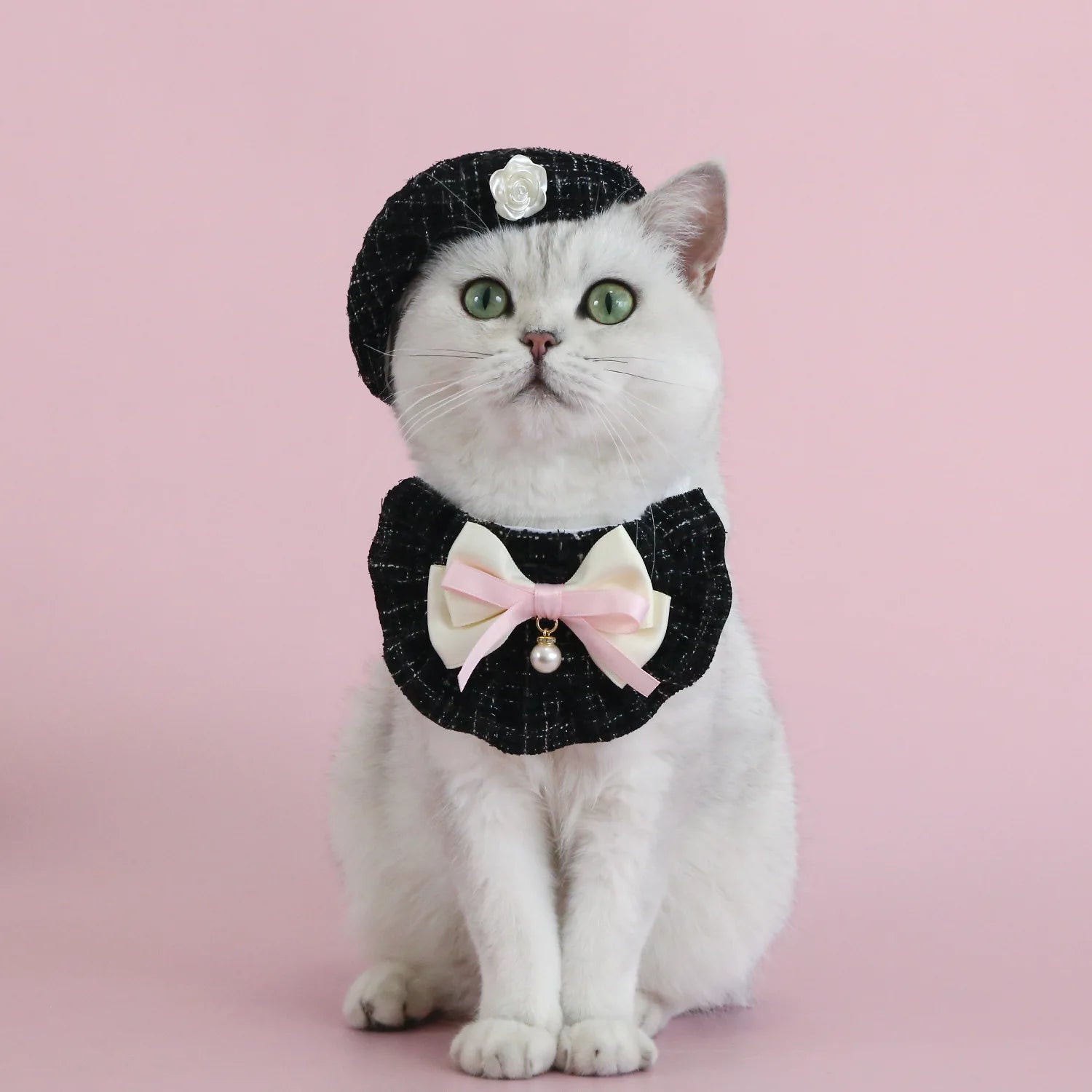 Set Princesa para Mascota
