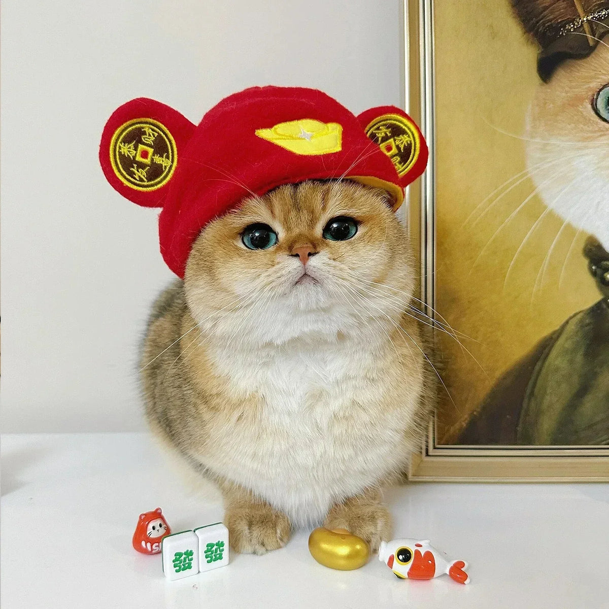 Gorro Oso Peludo para Mascota