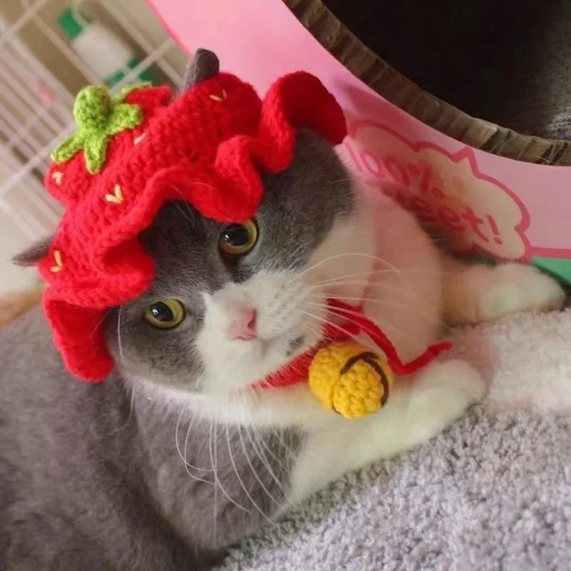 Gorro Gato Fiesta para Mascota