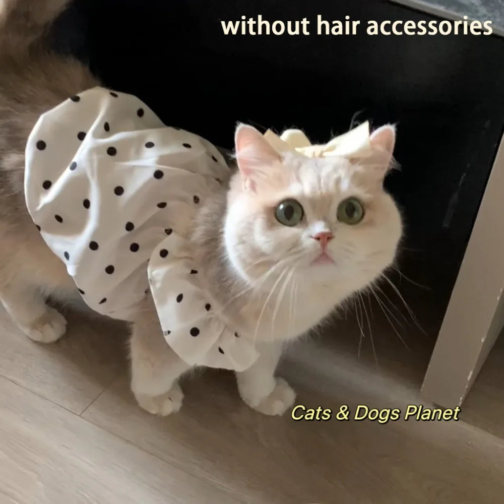 Vestido de Lunares para Mascota