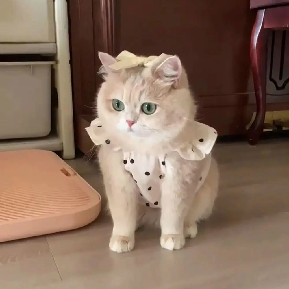 Vestido de Lunares para Mascota