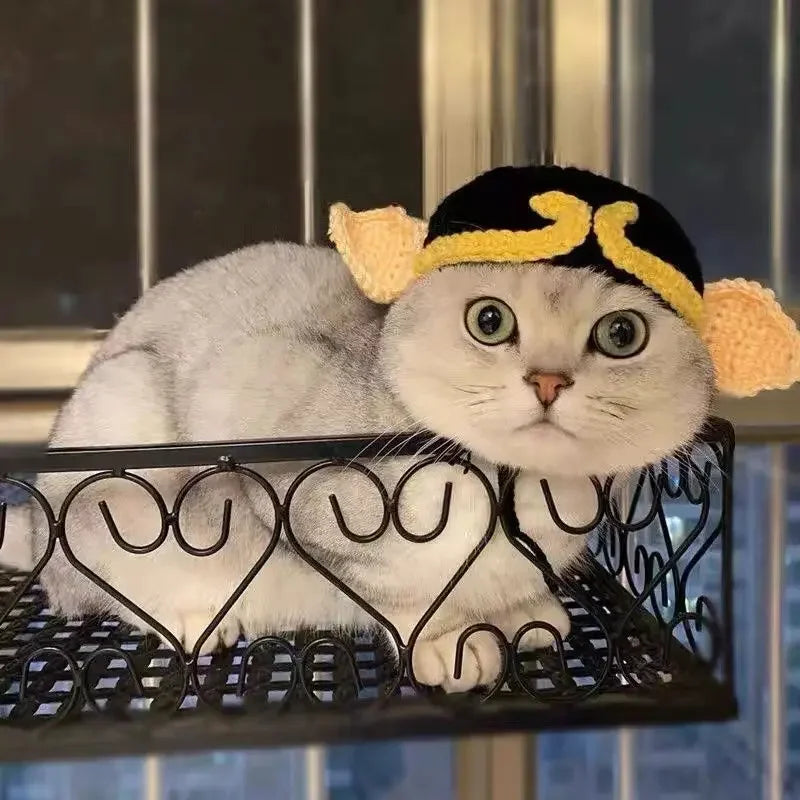 Gorro Gato Fiesta para Mascota