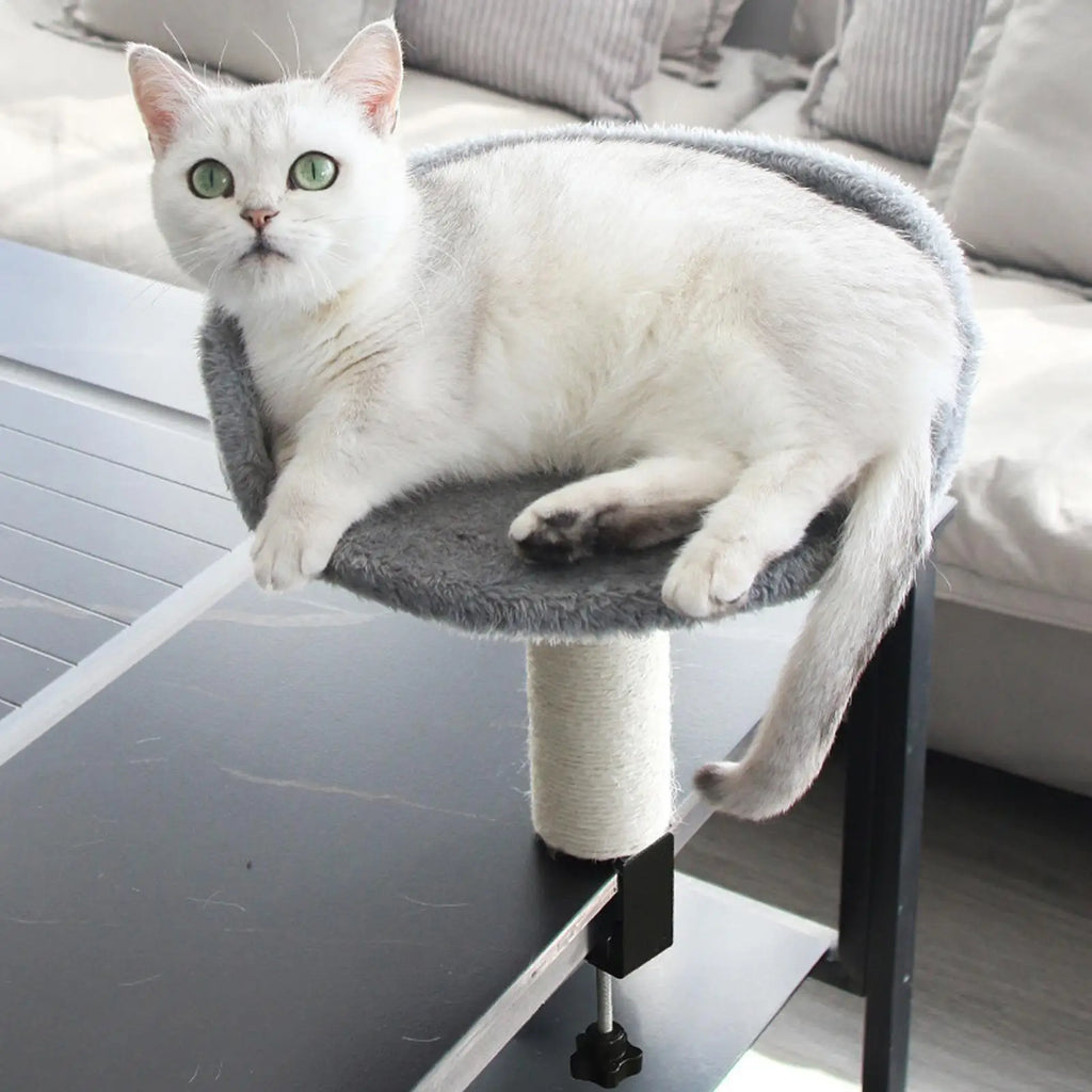 Percha Flotante para Gato de Escritorio