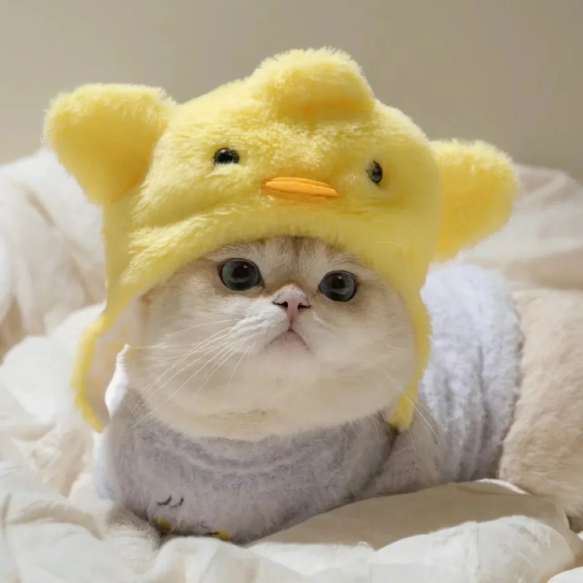 Gorro Oso Peludo para Mascota