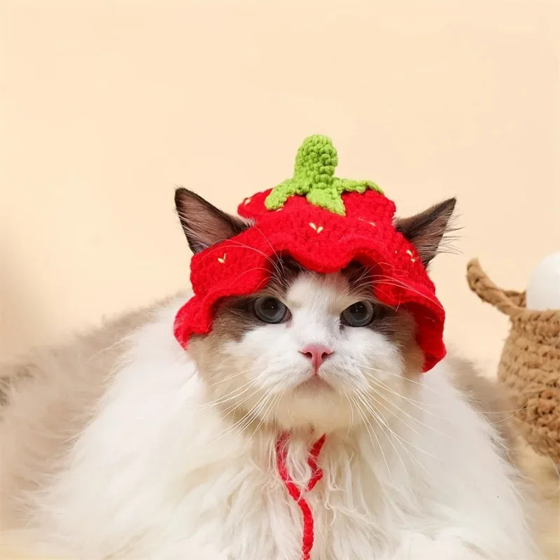 Gorro Elástico para Mascota
