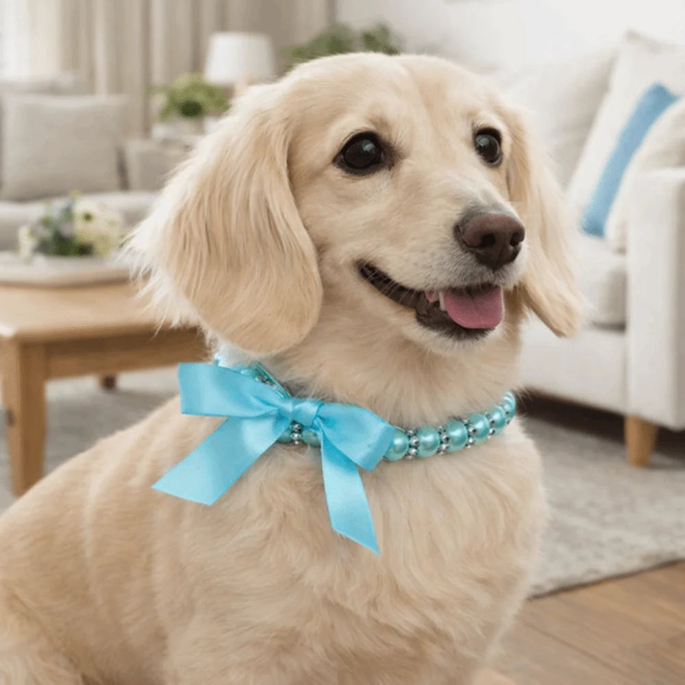 Collar de Perlas para Mascota