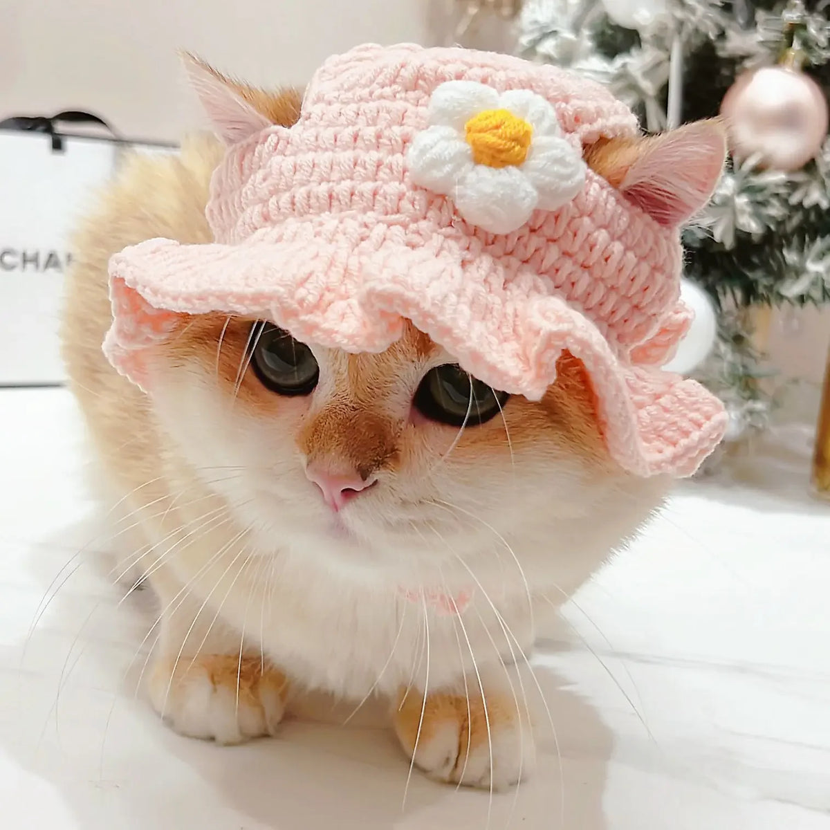 Gorro Gato Fiesta para Mascota