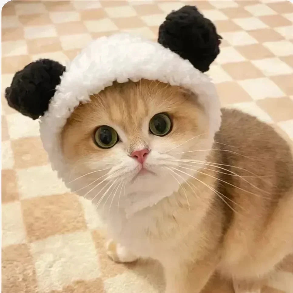 Gorro Oso Peludo para Mascota