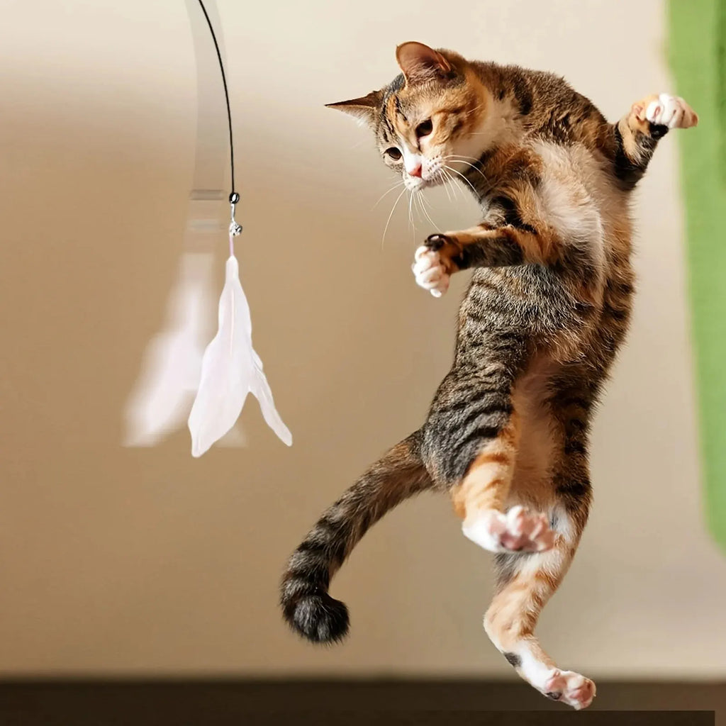 Varita Interactiva para Gatos — Campana y Plumas