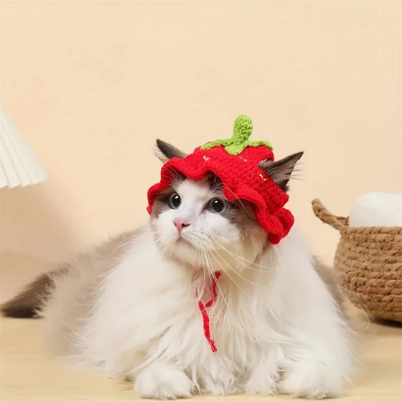 Gorro Elástico para Mascota