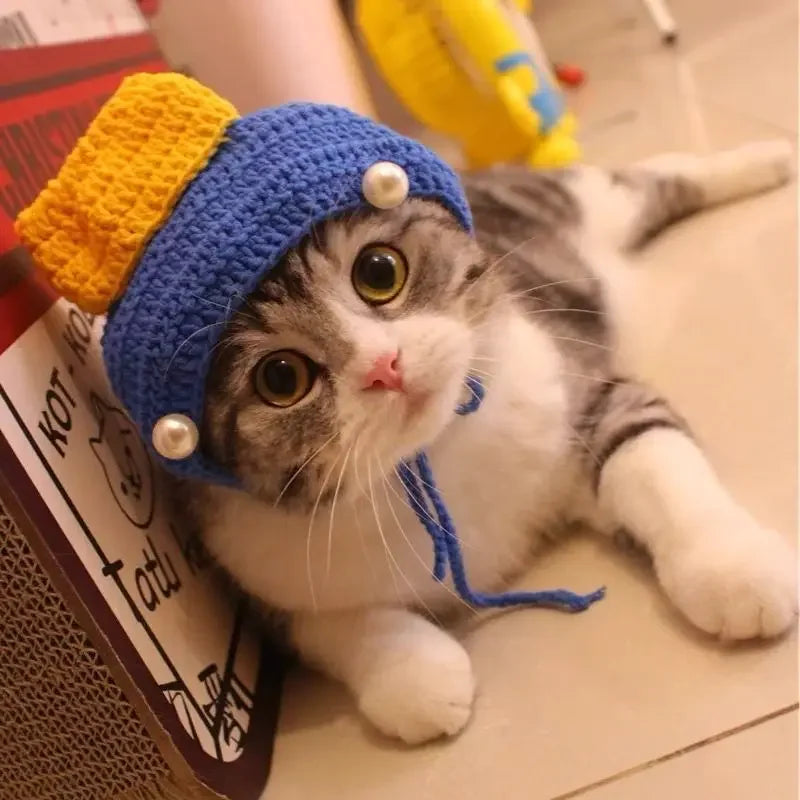 Gorro Gato Fiesta para Mascota