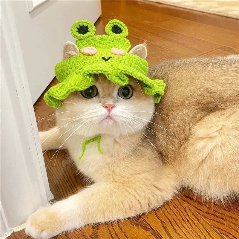 Gorro Gato Fiesta para Mascota
