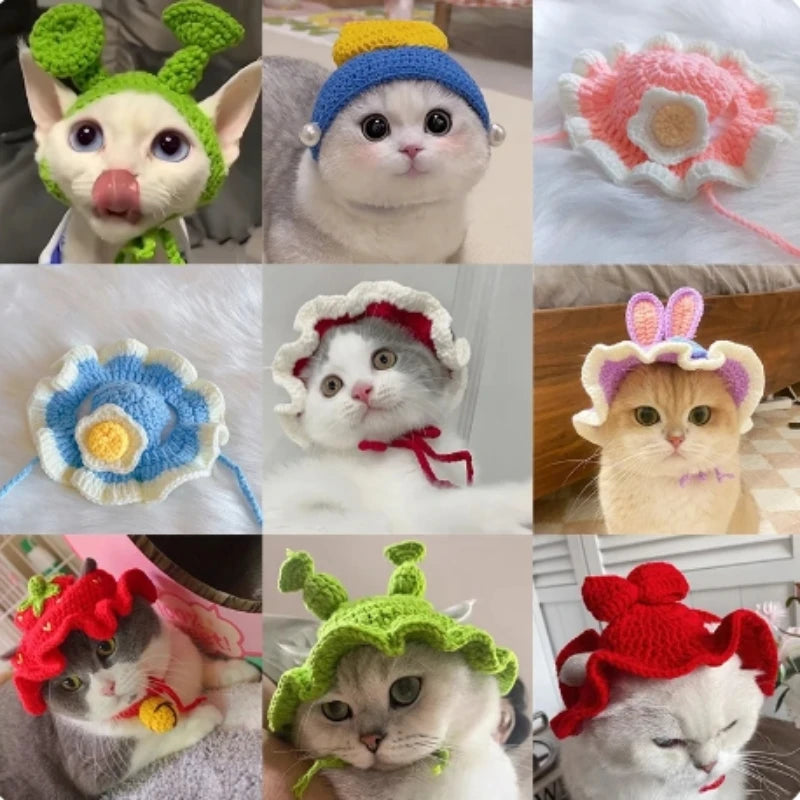 Gorro Gato Fiesta para Mascota