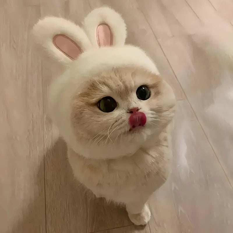 Gorro Orejas de Conejo para Mascota