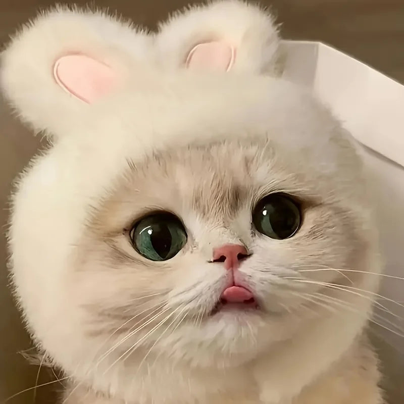 Gorro Orejas de Conejo para Mascota