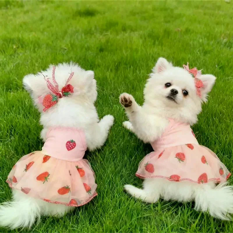 Vestido Fresa para Mascota