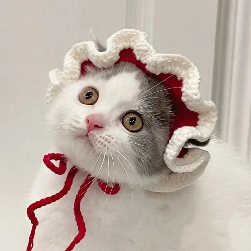 Gorro Gato Fiesta para Mascota
