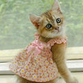 Vestido Romántico para Mascota