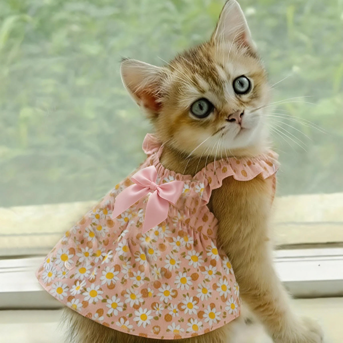Vestido Romántico para Mascota