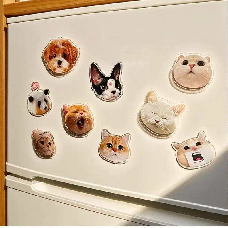 Imán Personalizado para Refrigerador