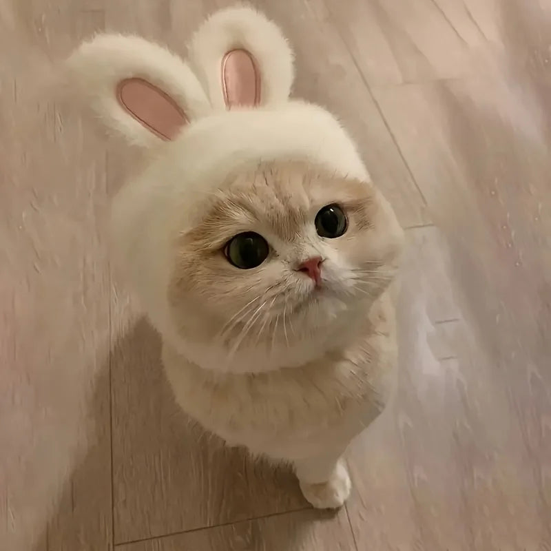 Gorro Orejas de Conejo para Mascota