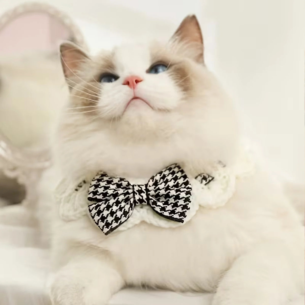 Bufanda para Mascota