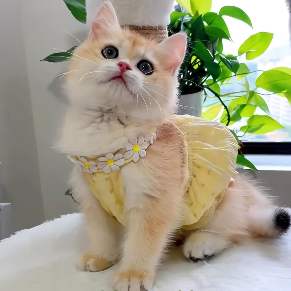 Vestido Floral para Mascota