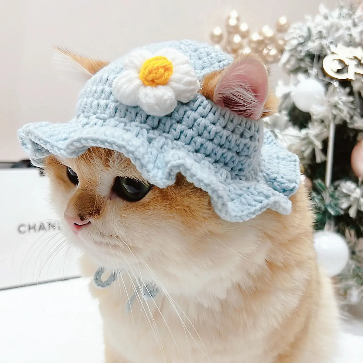 Gorro Gato Fiesta para Mascota