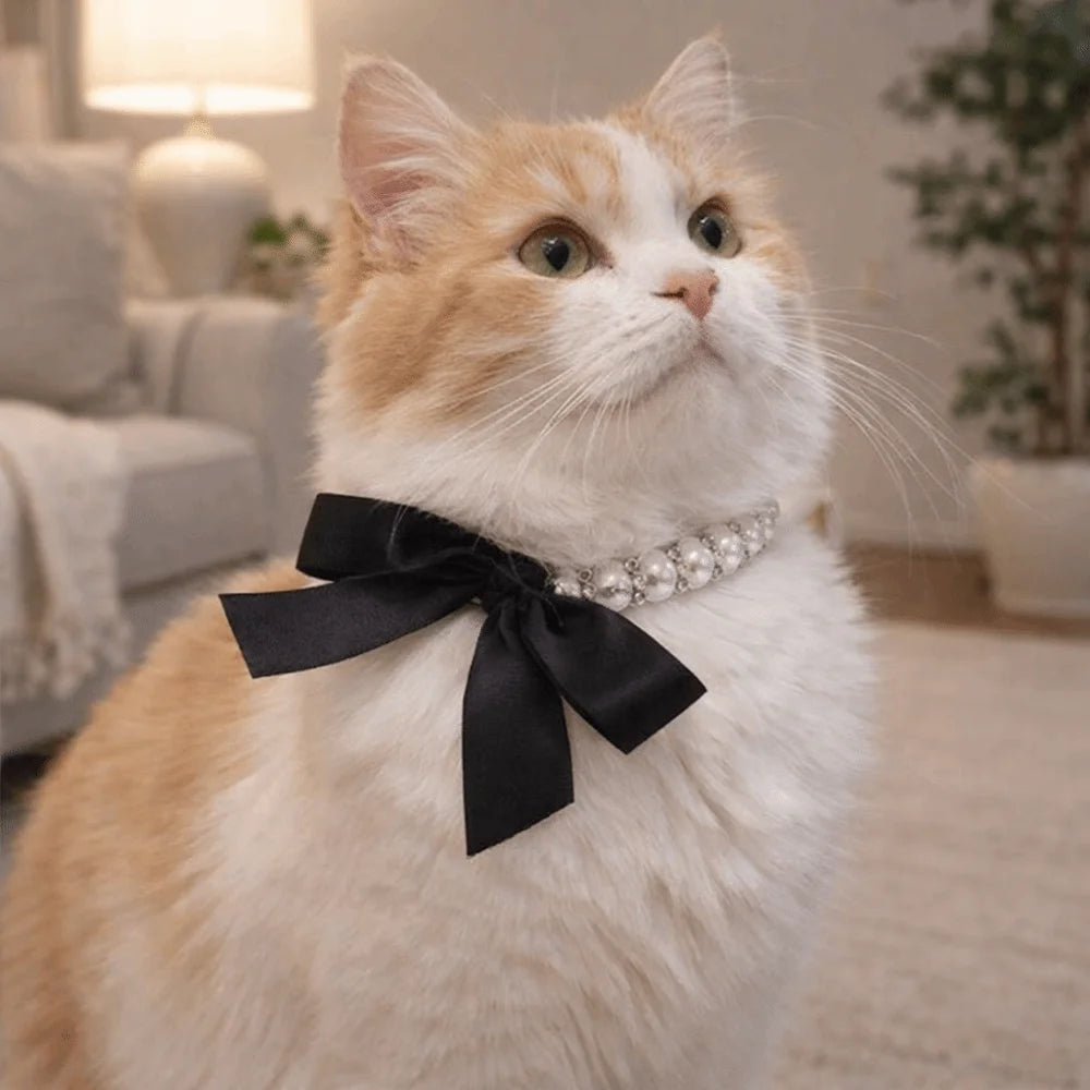 Collar de Perlas para Mascota