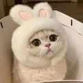 Gorro Orejas de Conejo para Mascota