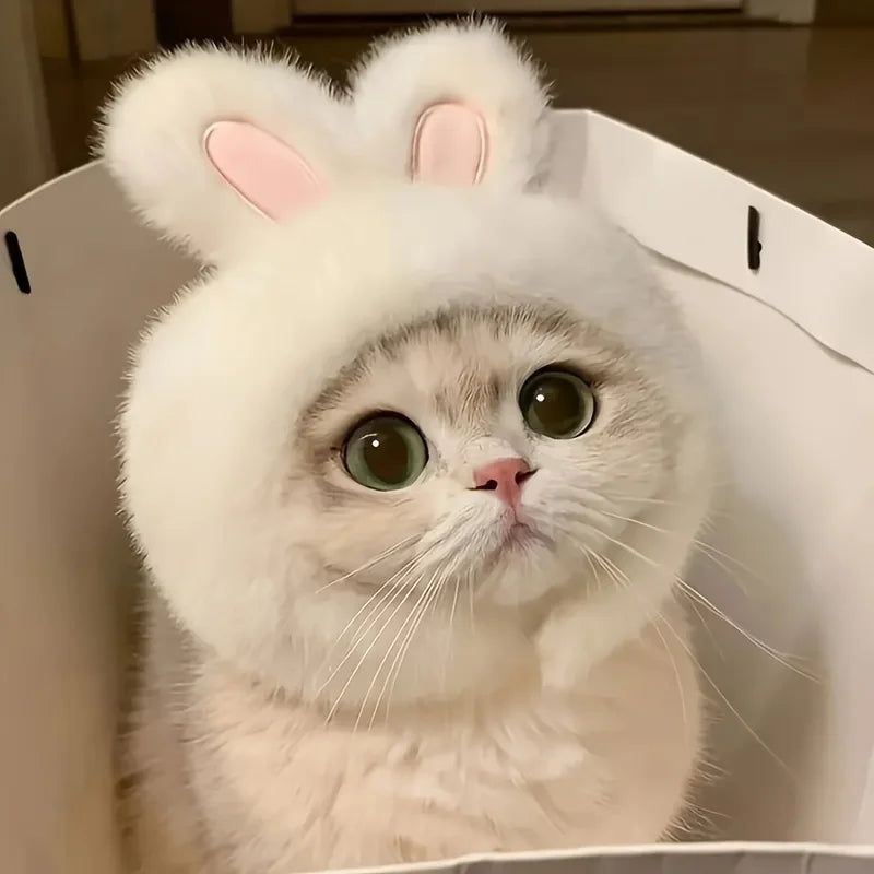 Gorro Orejas de Conejo para Mascota
