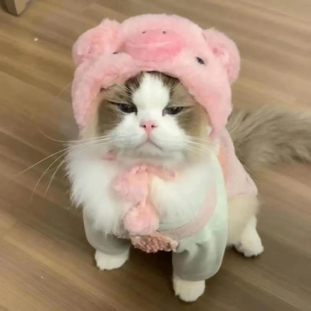 Gorro Oso Peludo para Mascota