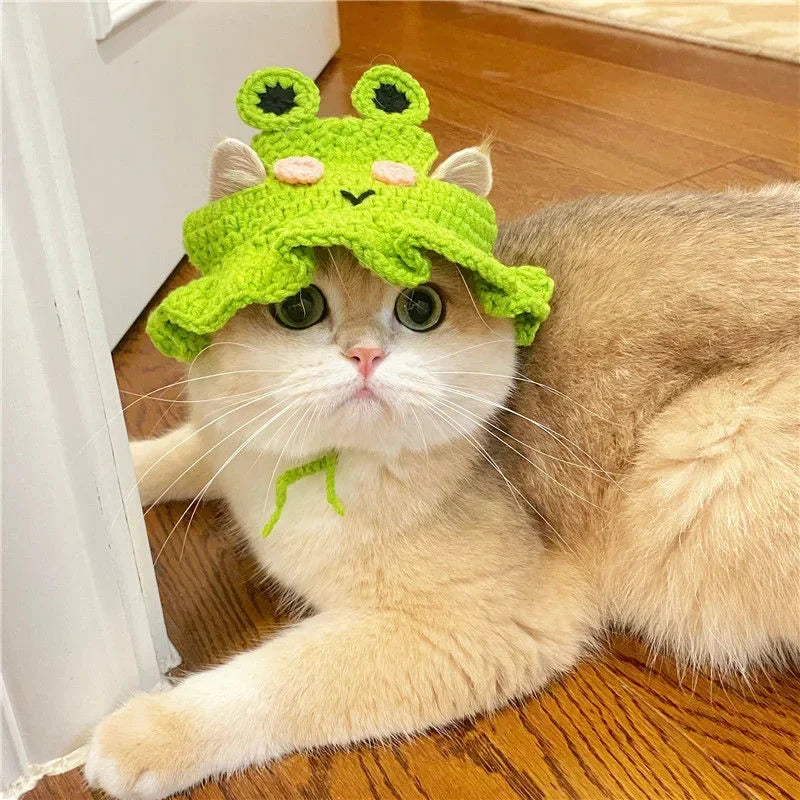 Gorro Gato Fiesta para Mascota