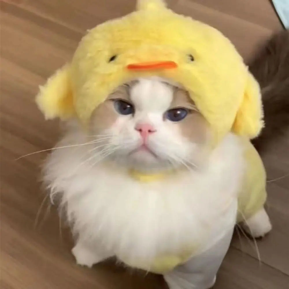 Gorro Oso Peludo para Mascota