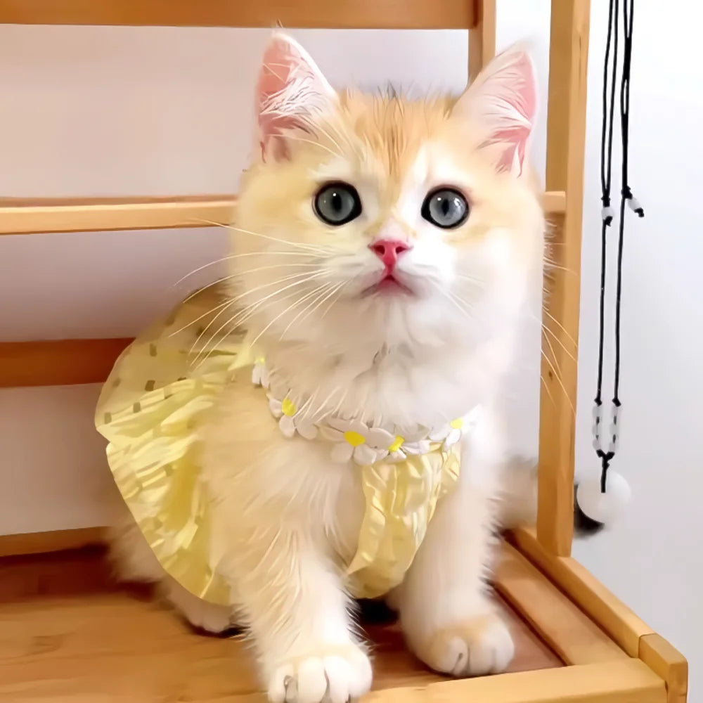 Vestido Floral para Mascota