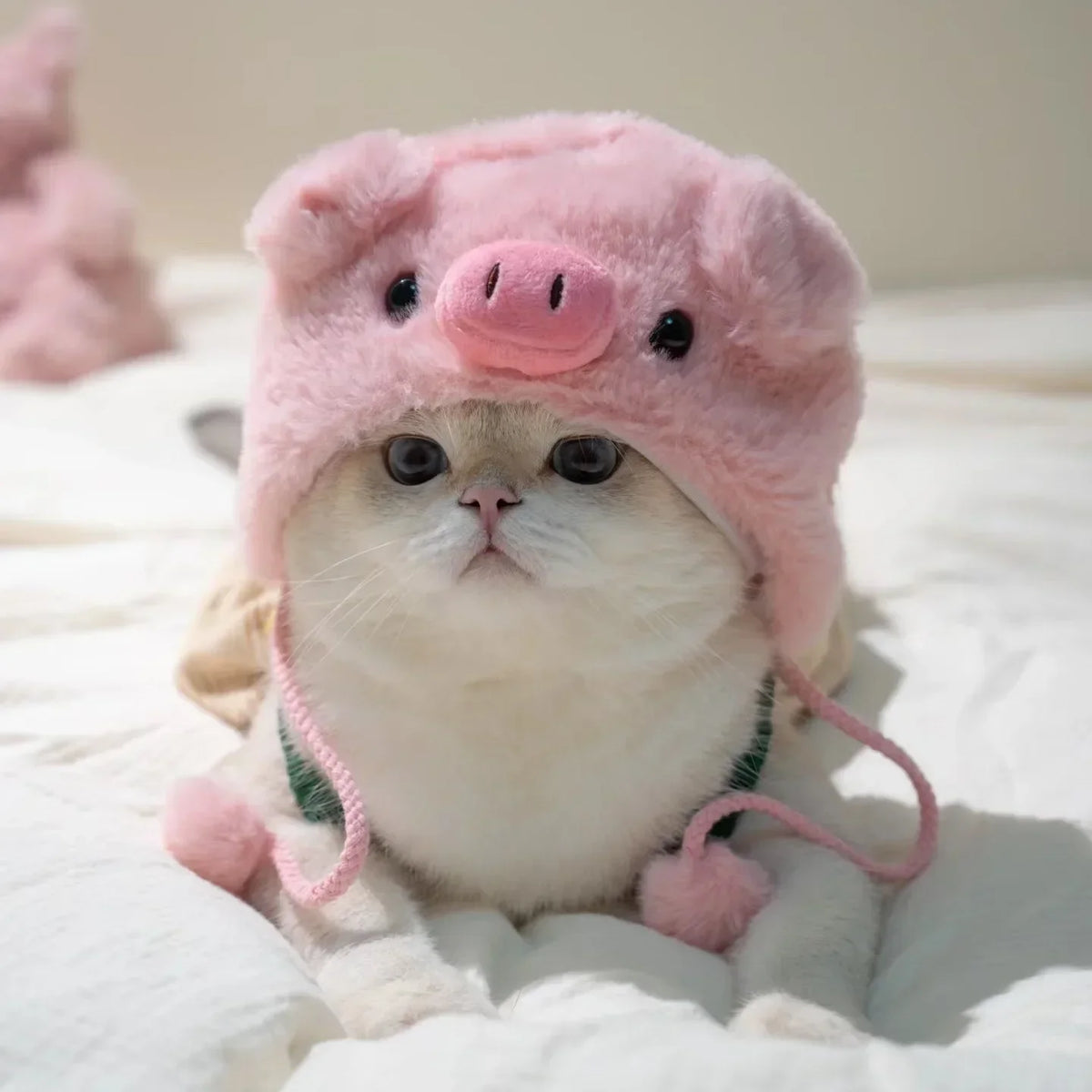 Gorro Oso Peludo para Mascota