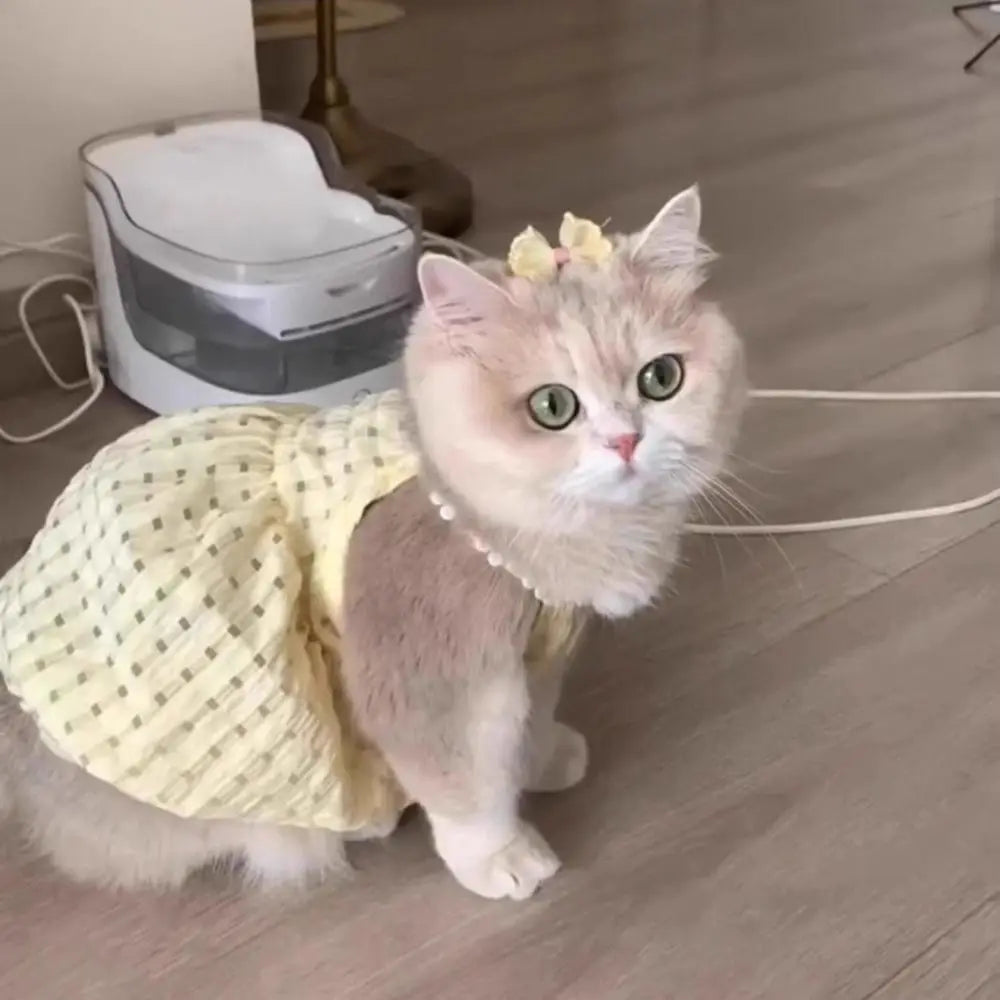Vestido de Lunares para Mascota
