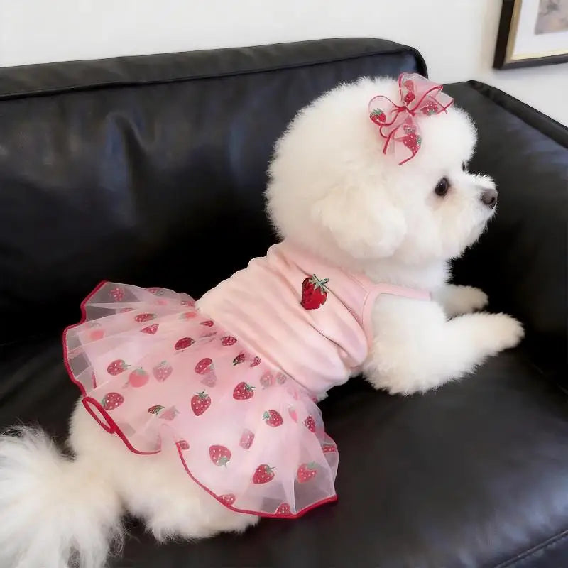 Vestido Fresa para Mascota