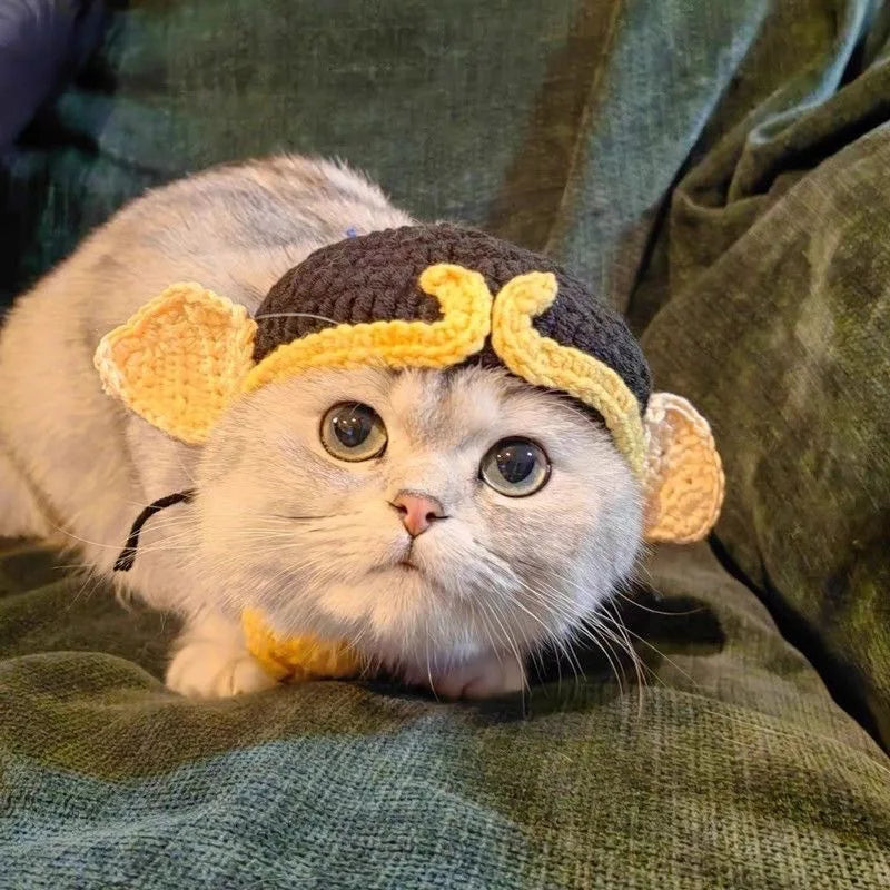 Gorro Gato Fiesta para Mascota