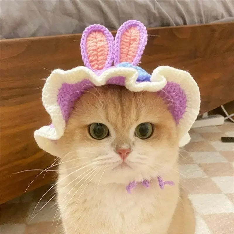 Gorro Gato Fiesta para Mascota