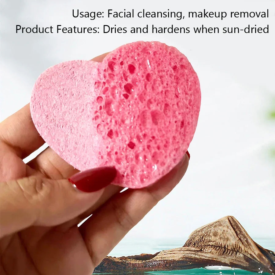Esponjas Faciales de Celulosa Comprimidas — 10 Unidades